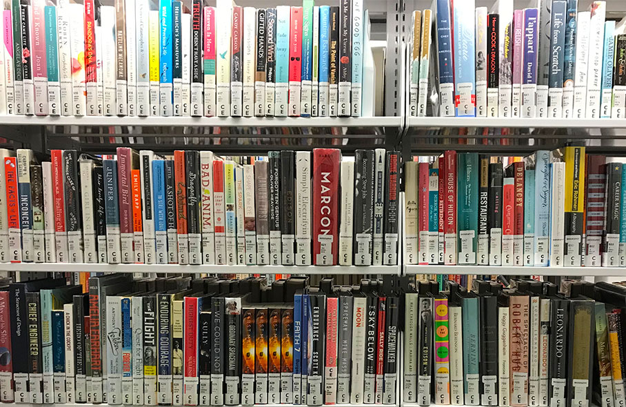 3 rows of library books