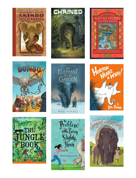 Adventure Elephants