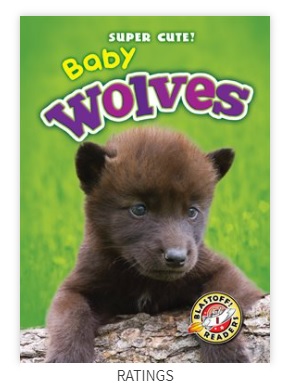 Baby Wolves