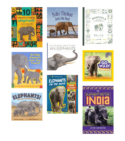 Curious Detective Elephants