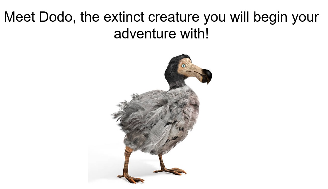 Dodo