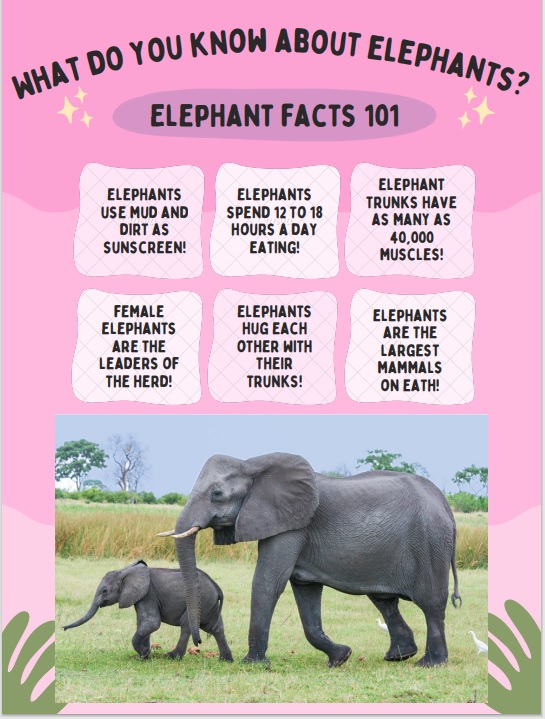 Elephant facts poster