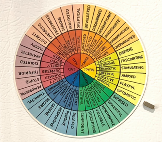 Feelings wheel