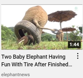 elephant tire