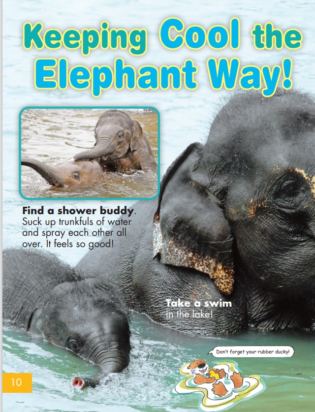 keep cool elephants