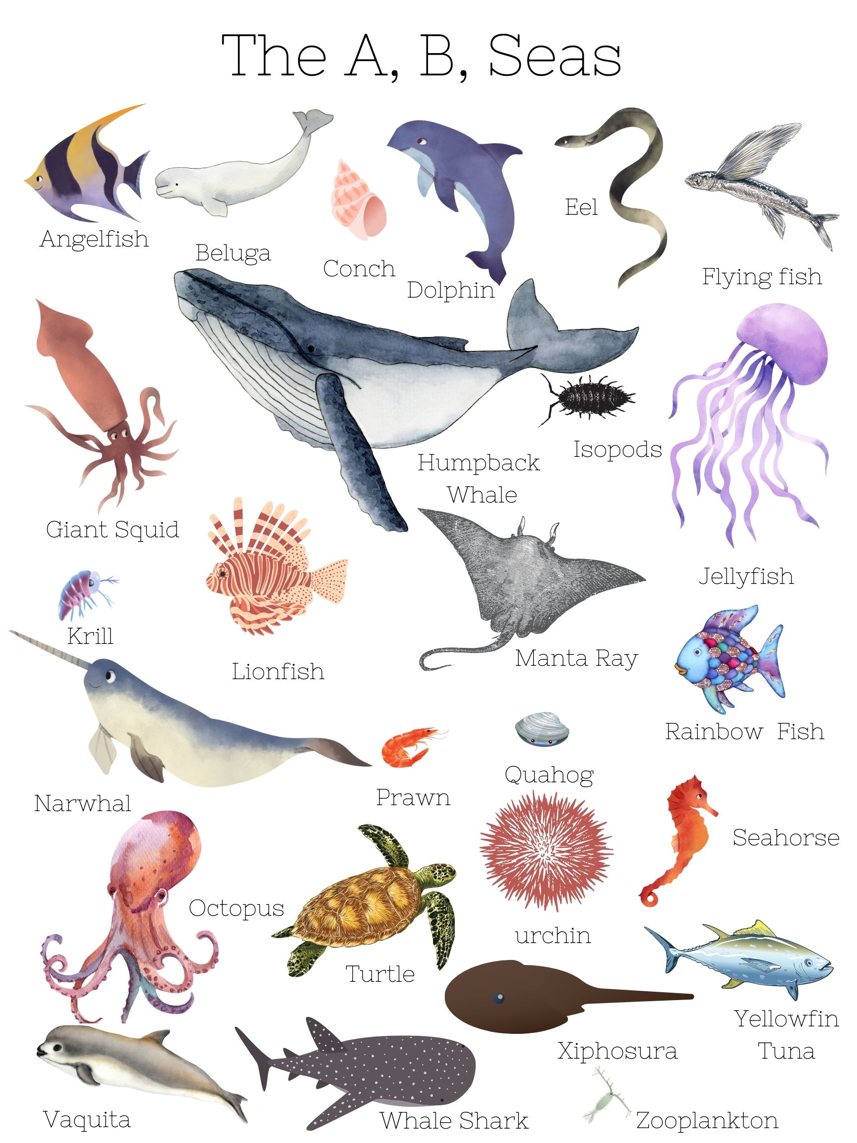 Ocean ABCs