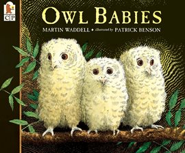 Owl babies