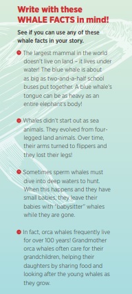 Whale Facts