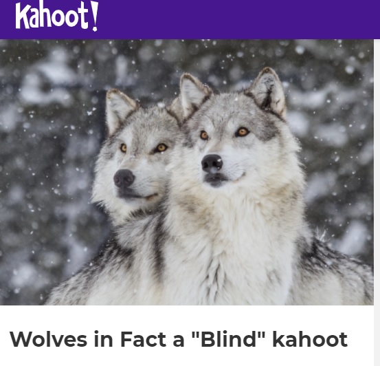 Wolves Kahoot