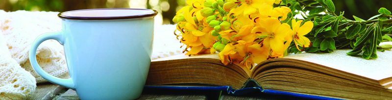 Conéctate con tu biblioteca esta primavera