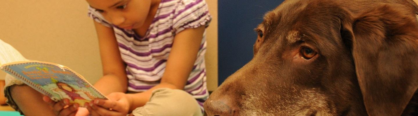 girl reading to dog