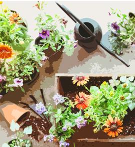 Lunch & Learn With the Tulsa County Master Gardeners