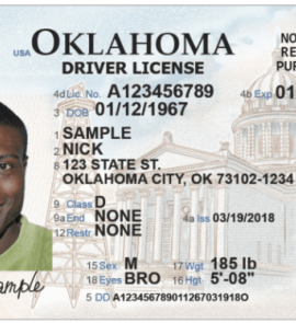 Sample Driver's License