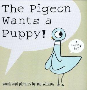 Meet Mo Willems, author of "Don't Let the Pigeon Drive the Bus"